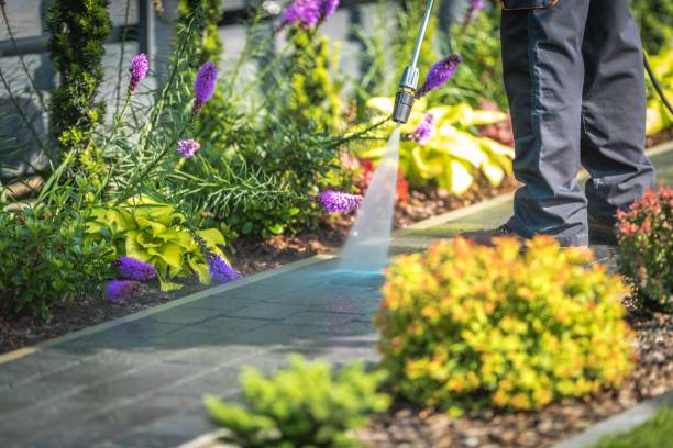 Best Animal Enclosure Cleaning  in Ocean Grove, NJ